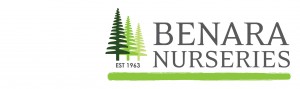 Benara Nurseries Benara Nurseries